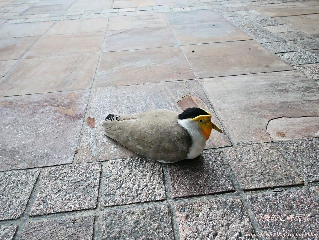P1500412