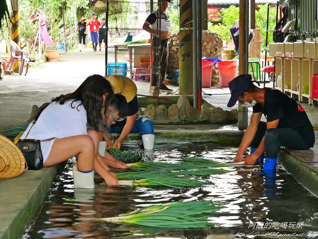 【宜蘭景點】農夫青蔥體驗農場,拔三星蔥、洗蔥、自製蔥油餅、彩繪活動,夏季開放捉泥鰍,還有可愛動物能餵食。 - 第32張圖 P1570970
