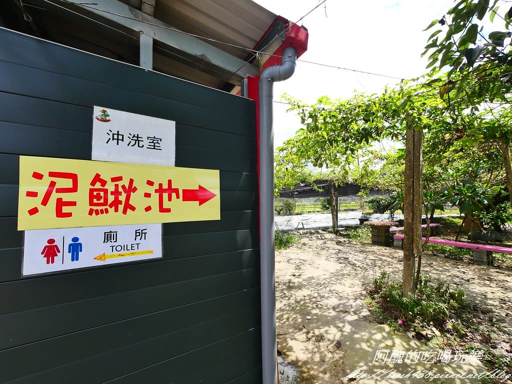 【宜蘭景點】農夫青蔥體驗農場,拔三星蔥、洗蔥、自製蔥油餅、彩繪活動,夏季開放捉泥鰍,還有可愛動物能餵食。 - 第41張圖 P1007264