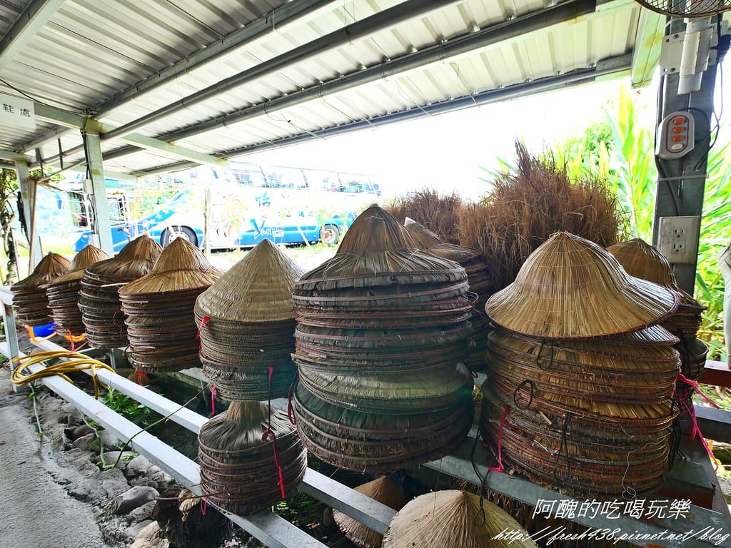 【宜蘭景點】農夫青蔥體驗農場,拔三星蔥、洗蔥、自製蔥油餅、彩繪活動,夏季開放捉泥鰍,還有可愛動物能餵食。 - 第26張圖 P1007256