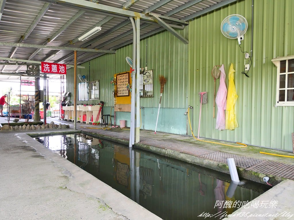 【宜蘭景點】農夫青蔥體驗農場,拔三星蔥、洗蔥、自製蔥油餅、彩繪活動,夏季開放捉泥鰍,還有可愛動物能餵食。 - 第31張圖 P1007250