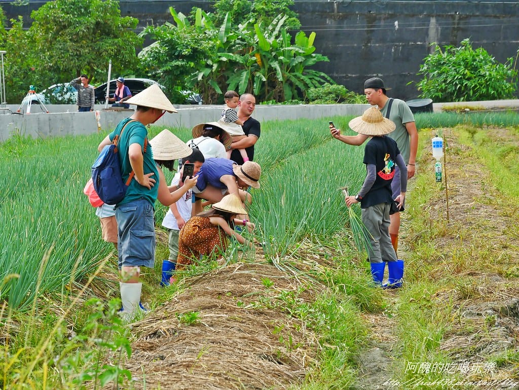 【宜蘭景點】農夫青蔥體驗農場,拔三星蔥、洗蔥、自製蔥油餅、彩繪活動,夏季開放捉泥鰍,還有可愛動物能餵食。 - 第30張圖 P1570978