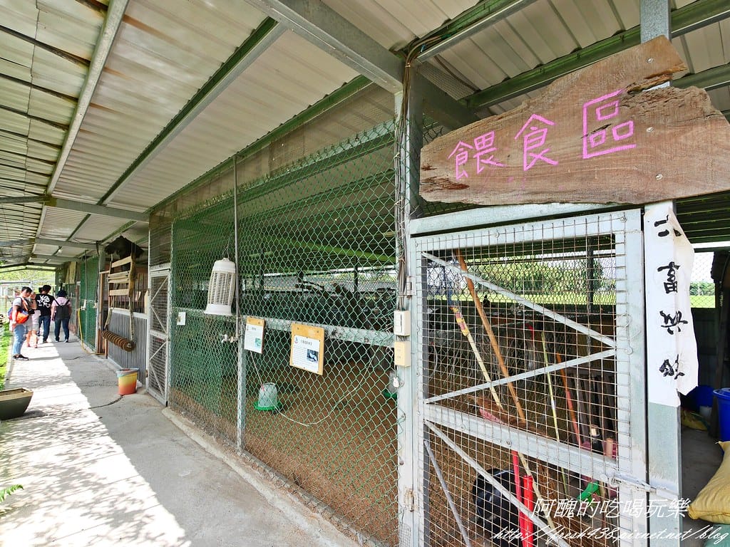 【宜蘭景點】農夫青蔥體驗農場,拔三星蔥、洗蔥、自製蔥油餅、彩繪活動,夏季開放捉泥鰍,還有可愛動物能餵食。 - 第34張圖 P1007272