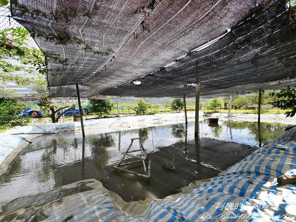 【宜蘭景點】農夫青蔥體驗農場,拔三星蔥、洗蔥、自製蔥油餅、彩繪活動,夏季開放捉泥鰍,還有可愛動物能餵食。 - 第42張圖 P1007265