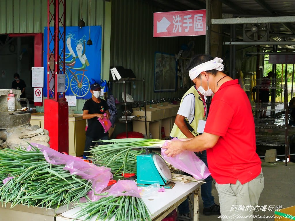 【宜蘭景點】農夫青蔥體驗農場,拔三星蔥、洗蔥、自製蔥油餅、彩繪活動,夏季開放捉泥鰍,還有可愛動物能餵食。 - 第43張圖 P1570980