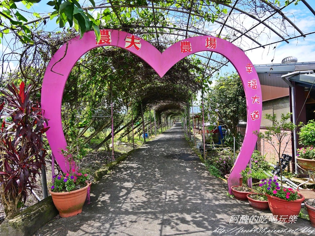 【宜蘭景點】農夫青蔥體驗農場,拔三星蔥、洗蔥、自製蔥油餅、彩繪活動,夏季開放捉泥鰍,還有可愛動物能餵食。 - 第27張圖 P1007240