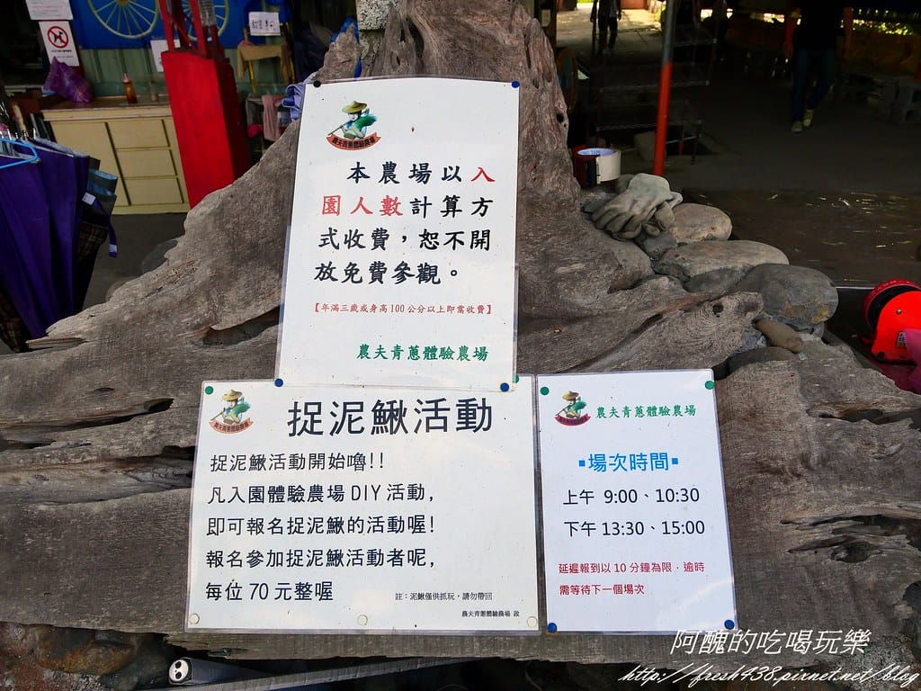 【宜蘭景點】農夫青蔥體驗農場,拔三星蔥、洗蔥、自製蔥油餅、彩繪活動,夏季開放捉泥鰍,還有可愛動物能餵食。 - 第7張圖 P1007259