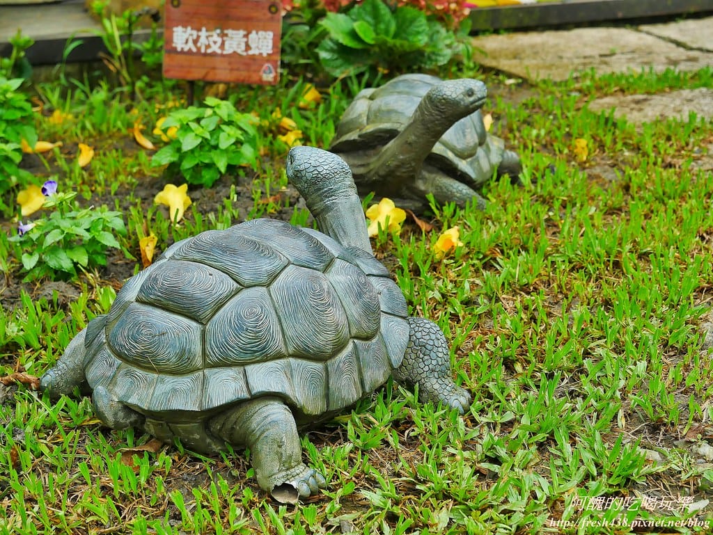 【宜蘭親子咖啡廳推薦】幾度咖啡莊園,戲水、玩沙、盪鞦韆,餐點獨特、環境清幽,快來山上深呼吸! - 第20張圖 157-5