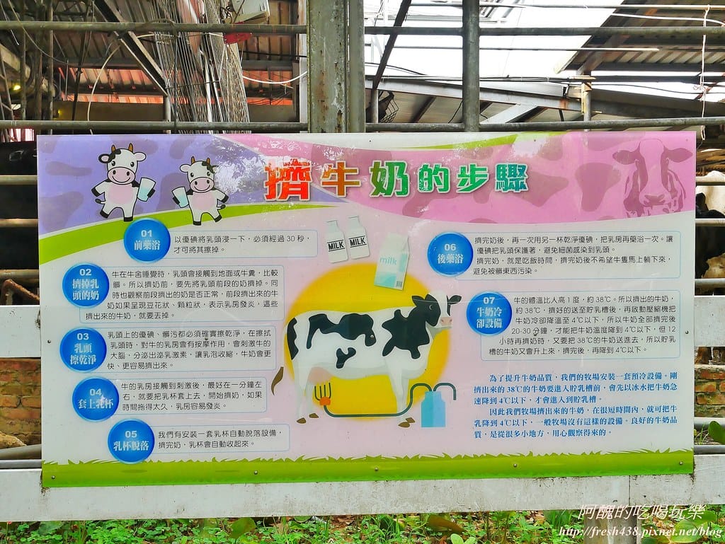 【苗栗景點】四方鮮乳牧場,瘋滑草、餵小牛、吃美食、做披薩,還可露營超有趣! - 第30張圖 27