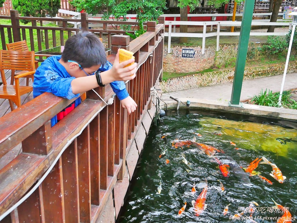 【苗栗景點】四方鮮乳牧場,瘋滑草、餵小牛、吃美食、做披薩,還可露營超有趣! - 第71張圖 59-00