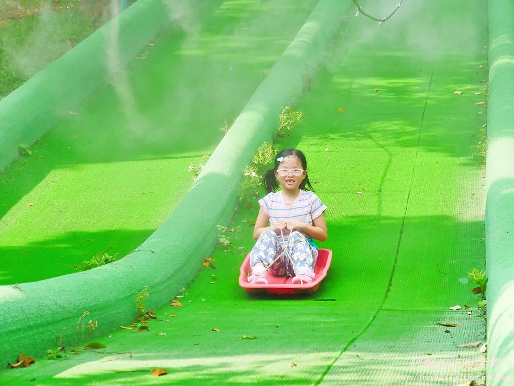 【苗栗景點】四方鮮乳牧場,瘋滑草、餵小牛、吃美食、做披薩,還可露營超有趣! - 第23張圖 20-3