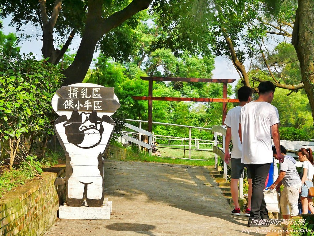【苗栗景點】四方鮮乳牧場,瘋滑草、餵小牛、吃美食、做披薩,還可露營超有趣! - 第29張圖 26