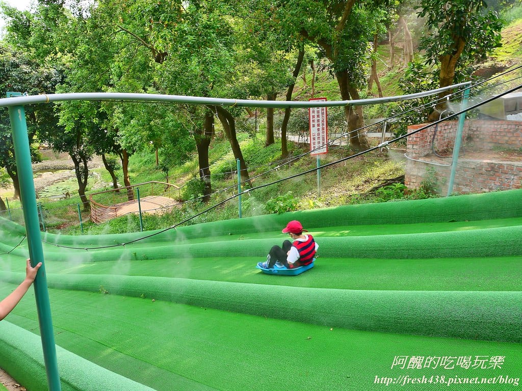 【苗栗景點】四方鮮乳牧場,瘋滑草、餵小牛、吃美食、做披薩,還可露營超有趣! - 第25張圖 21-0