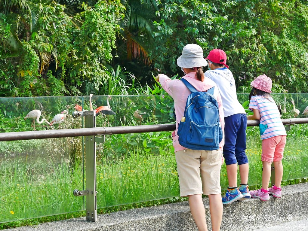 impact怡寶【減壓時尚媽媽包】,「AGS回彈減壓」讓您好輕鬆,旅行、上班的最佳幫手,中性設計可當爸爸包。 - 第18張圖 P1580362