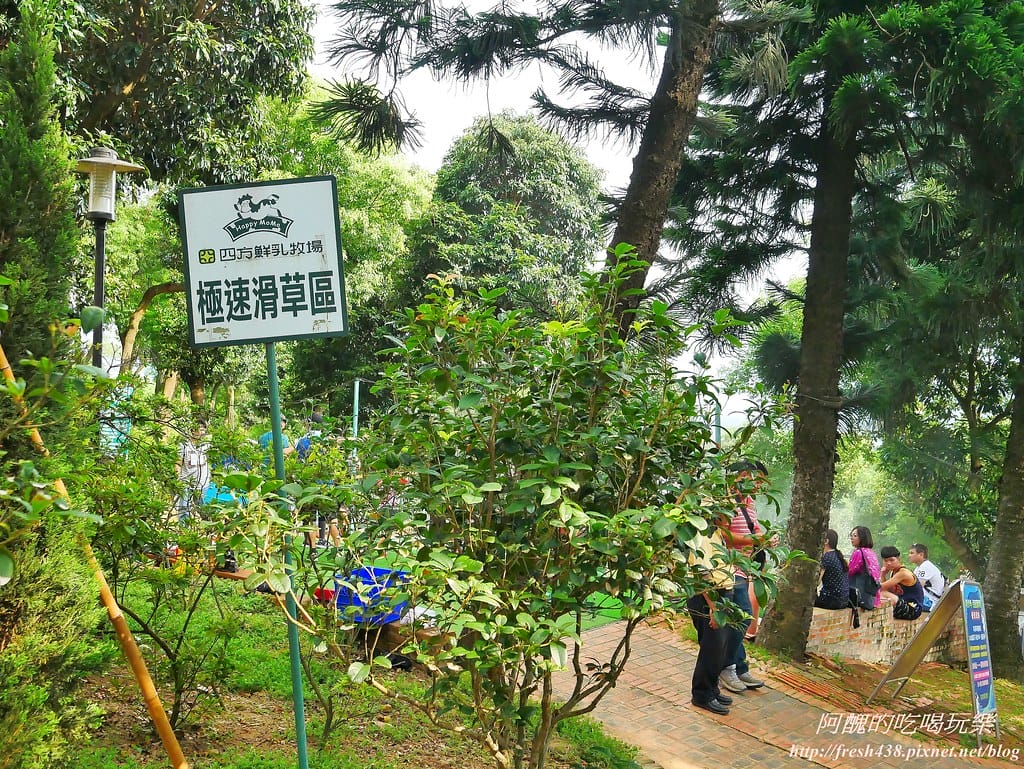 【苗栗景點】四方鮮乳牧場,瘋滑草、餵小牛、吃美食、做披薩,還可露營超有趣! - 第18張圖 20