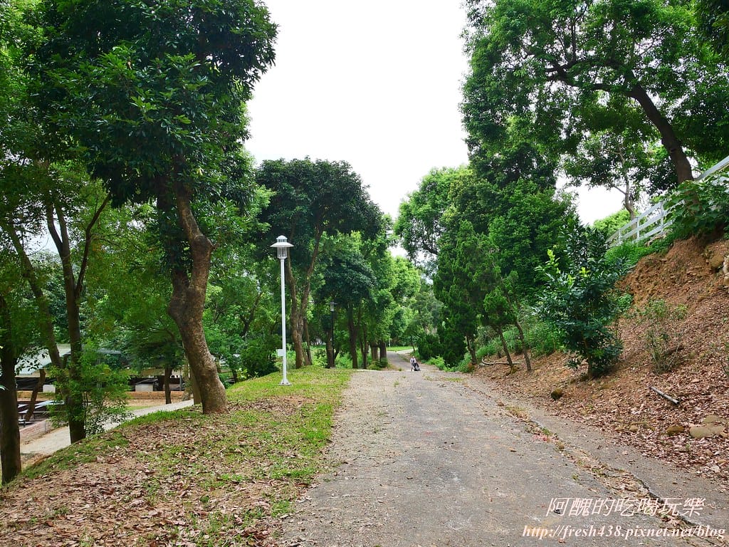 【苗栗景點】四方鮮乳牧場,瘋滑草、餵小牛、吃美食、做披薩,還可露營超有趣! - 第37張圖 34