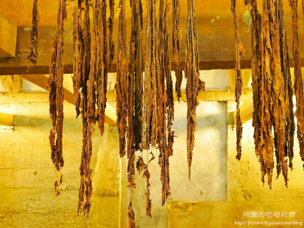 【花蓮兩天一夜旅遊懶人包】優遊鳳林慢城,品味道地美食、體驗原民手作、尋訪當地古蹟,還有各樣伴手禮等您嚐鮮哦! - 第15張圖 11