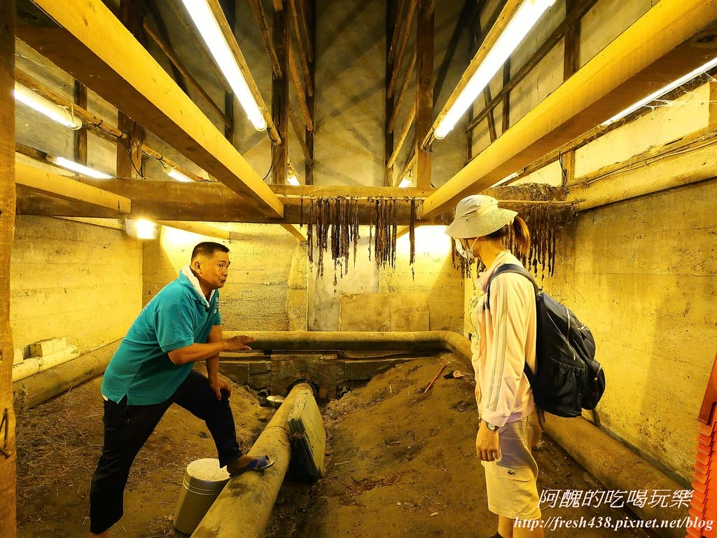 【花蓮兩天一夜旅遊懶人包】優遊鳳林慢城,品味道地美食、體驗原民手作、尋訪當地古蹟,還有各樣伴手禮等您嚐鮮哦! - 第17張圖 13