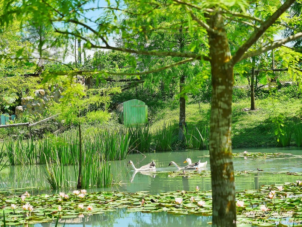 【花蓮免費景點】Mr. Sam山姆先生咖啡館,走入童話世界的場景,大人小孩準備瘋狂拍照吧! - 第8張圖 4-2