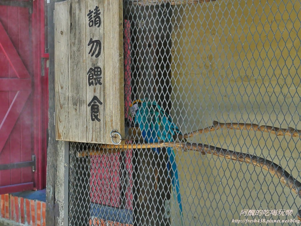 【花蓮免費景點】Mr. Sam山姆先生咖啡館,走入童話世界的場景,大人小孩準備瘋狂拍照吧! - 第32張圖 29