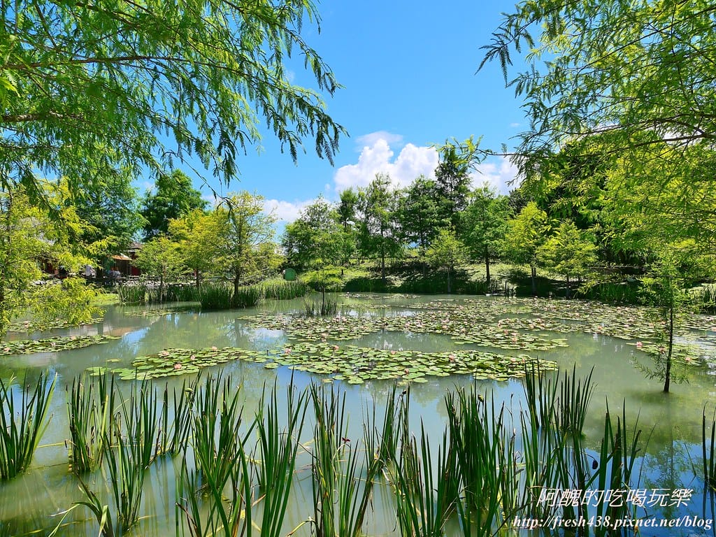 【花蓮免費景點】Mr. Sam山姆先生咖啡館,走入童話世界的場景,大人小孩準備瘋狂拍照吧! - 第7張圖 4