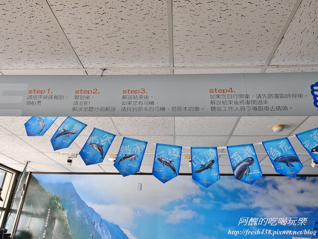 花蓮賞鯨,開啟奇幻旅程,實現出海願望,花蓮親子旅遊必推行程! - 第6張圖 3-1