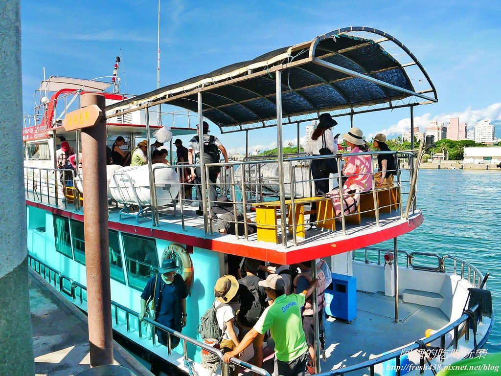 花蓮賞鯨,開啟奇幻旅程,實現出海願望,花蓮親子旅遊必推行程! - 第13張圖 9
