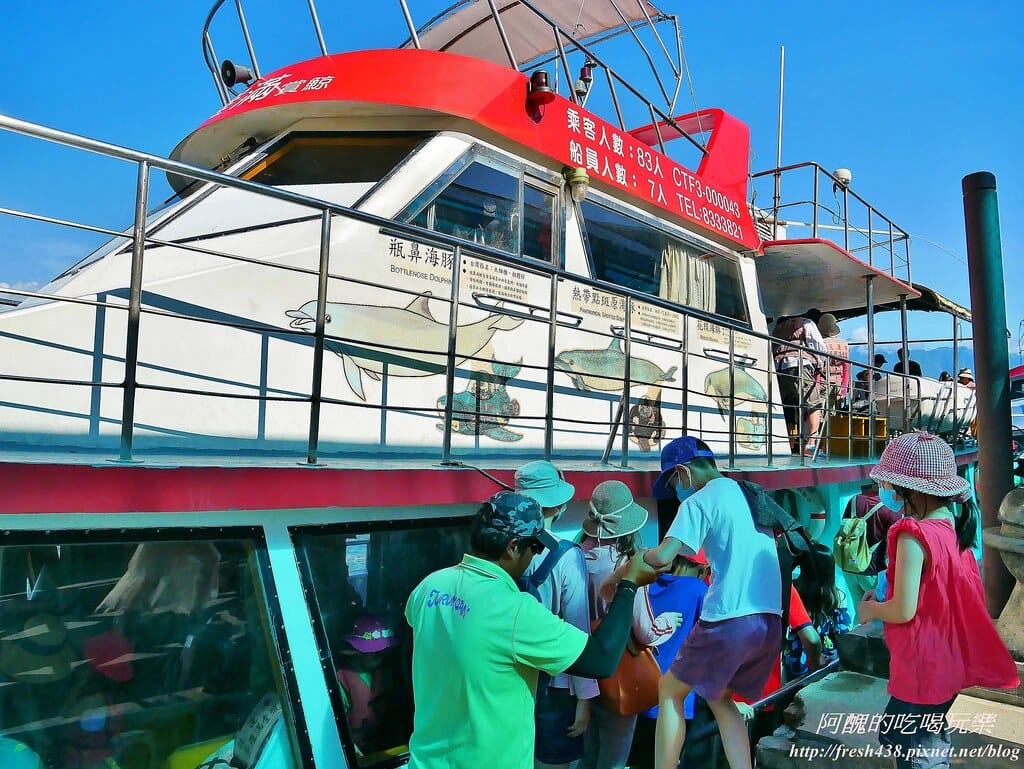 花蓮賞鯨,開啟奇幻旅程,實現出海願望,花蓮親子旅遊必推行程! - 第12張圖 8