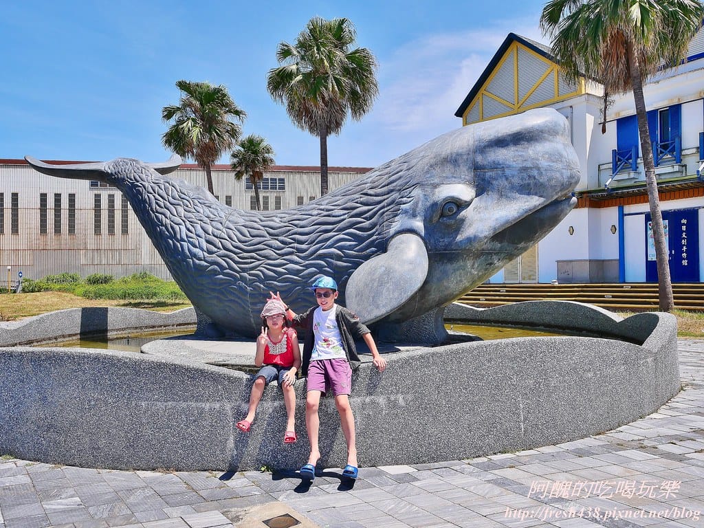 花蓮賞鯨,開啟奇幻旅程,實現出海願望,花蓮親子旅遊必推行程! - 第38張圖 46