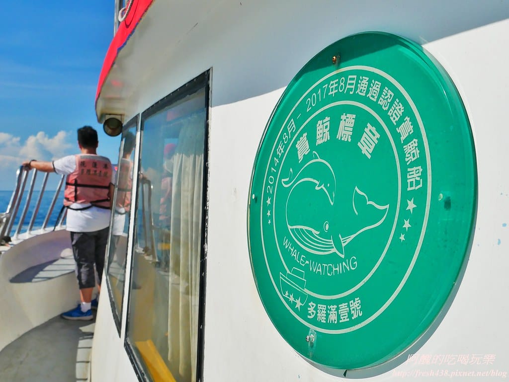 花蓮賞鯨,開啟奇幻旅程,實現出海願望,花蓮親子旅遊必推行程! - 第14張圖 9-1