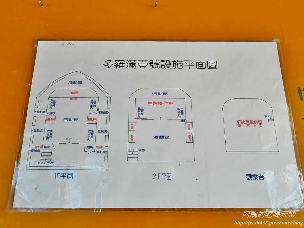 花蓮賞鯨,開啟奇幻旅程,實現出海願望,花蓮親子旅遊必推行程! - 第15張圖 9-2