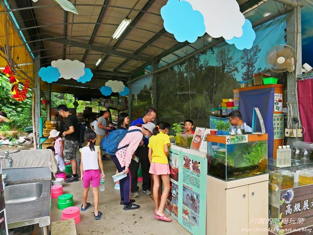 【新北景點】五股準園休閒農場,生態教學一級棒,夏日戲水、手製披薩、體驗釣蝦,四月與九月都有螢火蟲可觀賞! - 第61張圖 P1630332