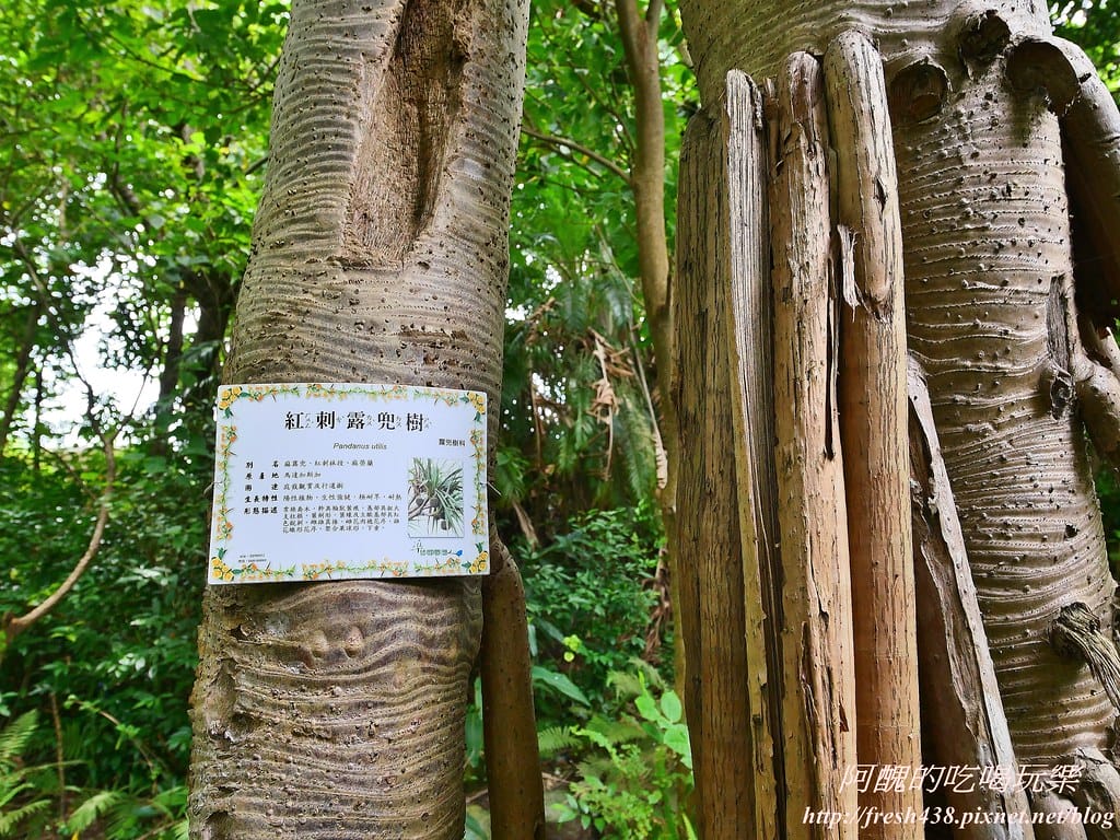【新北景點】五股準園休閒農場,生態教學一級棒,夏日戲水、手製披薩、體驗釣蝦,四月與九月都有螢火蟲可觀賞! - 第54張圖 80-8