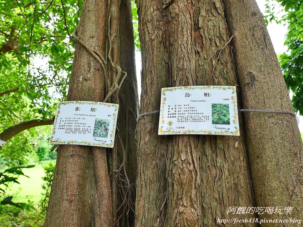 【新北景點】五股準園休閒農場,生態教學一級棒,夏日戲水、手製披薩、體驗釣蝦,四月與九月都有螢火蟲可觀賞! - 第47張圖 80-1