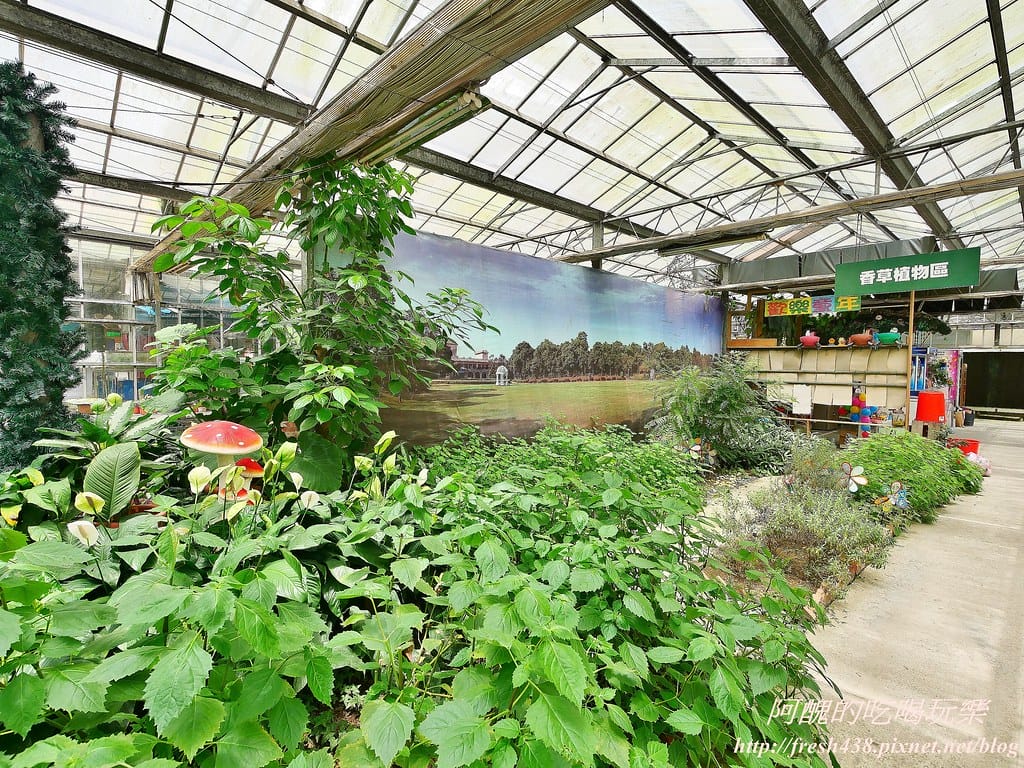 【新北景點】五股準園休閒農場,生態教學一級棒,夏日戲水、手製披薩、體驗釣蝦,四月與九月都有螢火蟲可觀賞! - 第100張圖 31-2