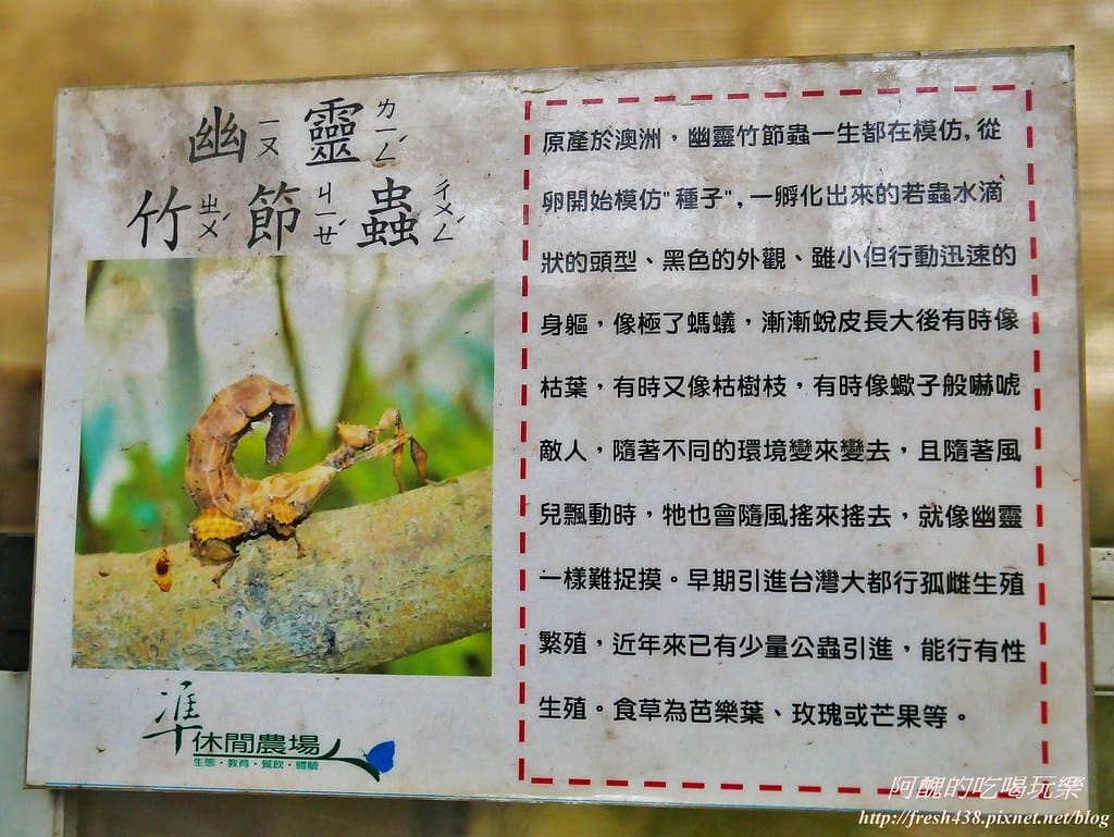 【新北景點】五股準園休閒農場,生態教學一級棒,夏日戲水、手製披薩、體驗釣蝦,四月與九月都有螢火蟲可觀賞! - 第27張圖 12