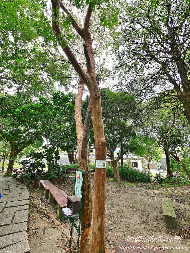 【新北景點】五股準園休閒農場,生態教學一級棒,夏日戲水、手製披薩、體驗釣蝦,四月與九月都有螢火蟲可觀賞! - 第53張圖 80-7