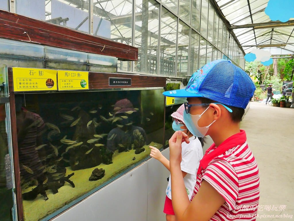 【新北景點】五股準園休閒農場,生態教學一級棒,夏日戲水、手製披薩、體驗釣蝦,四月與九月都有螢火蟲可觀賞! - 第24張圖 11-1