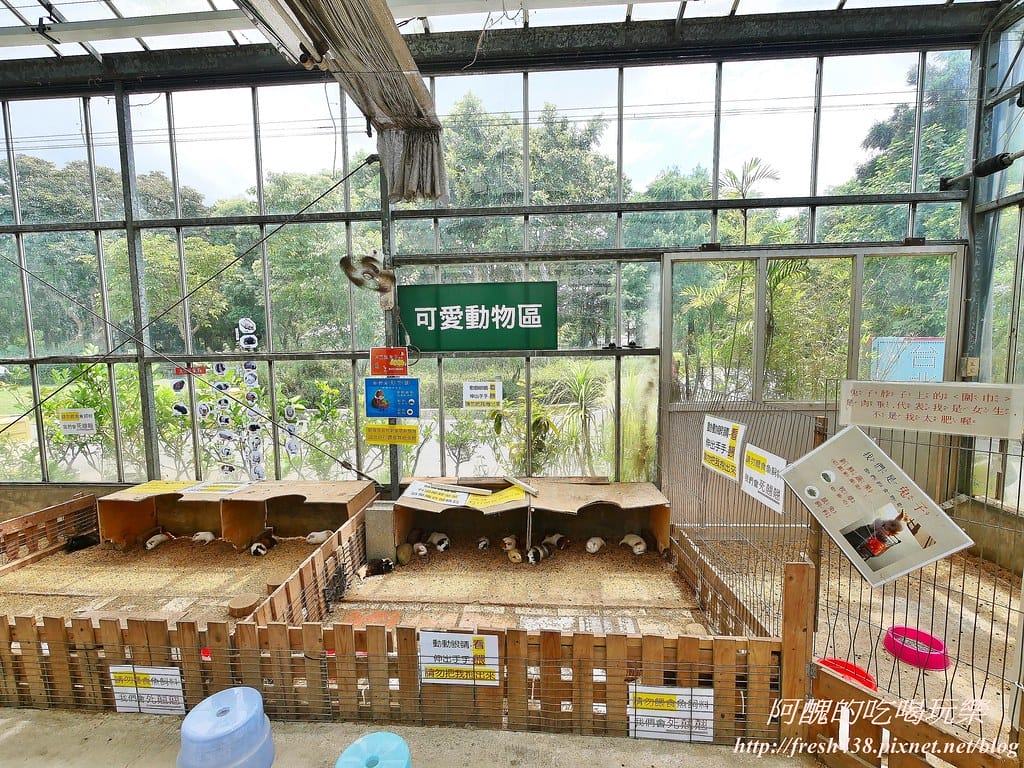 【新北景點】五股準園休閒農場,生態教學一級棒,夏日戲水、手製披薩、體驗釣蝦,四月與九月都有螢火蟲可觀賞! - 第101張圖 31-3