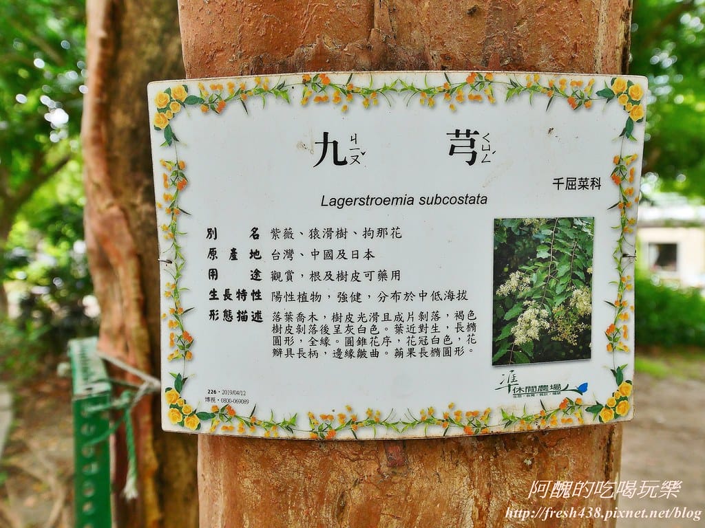 【新北景點】五股準園休閒農場,生態教學一級棒,夏日戲水、手製披薩、體驗釣蝦,四月與九月都有螢火蟲可觀賞! - 第52張圖 80-6