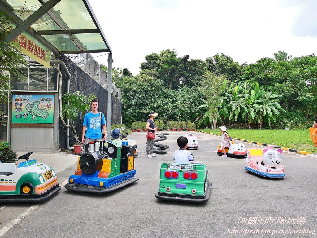 【新北景點】五股準園休閒農場,生態教學一級棒,夏日戲水、手製披薩、體驗釣蝦,四月與九月都有螢火蟲可觀賞! - 第21張圖 4-3