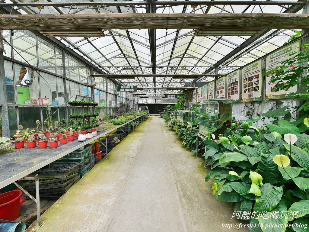 【新北景點】五股準園休閒農場,生態教學一級棒,夏日戲水、手製披薩、體驗釣蝦,四月與九月都有螢火蟲可觀賞! - 第98張圖 31-0