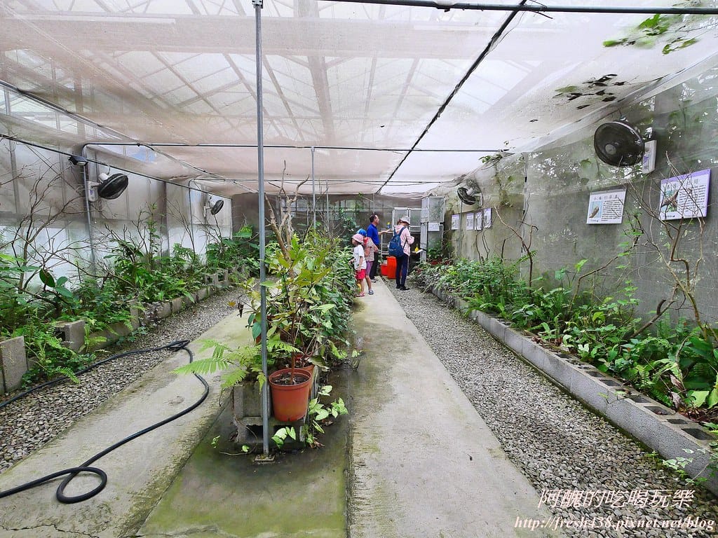 【新北景點】五股準園休閒農場,生態教學一級棒,夏日戲水、手製披薩、體驗釣蝦,四月與九月都有螢火蟲可觀賞! - 第33張圖 16-6