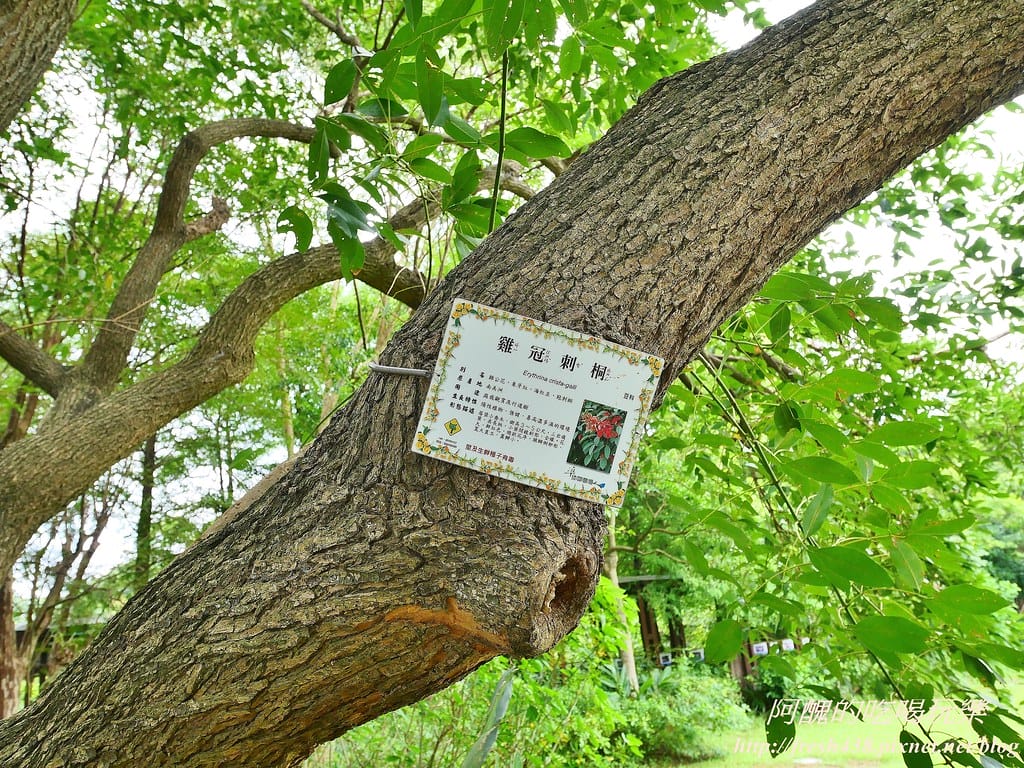 【新北景點】五股準園休閒農場,生態教學一級棒,夏日戲水、手製披薩、體驗釣蝦,四月與九月都有螢火蟲可觀賞! - 第50張圖 80-4