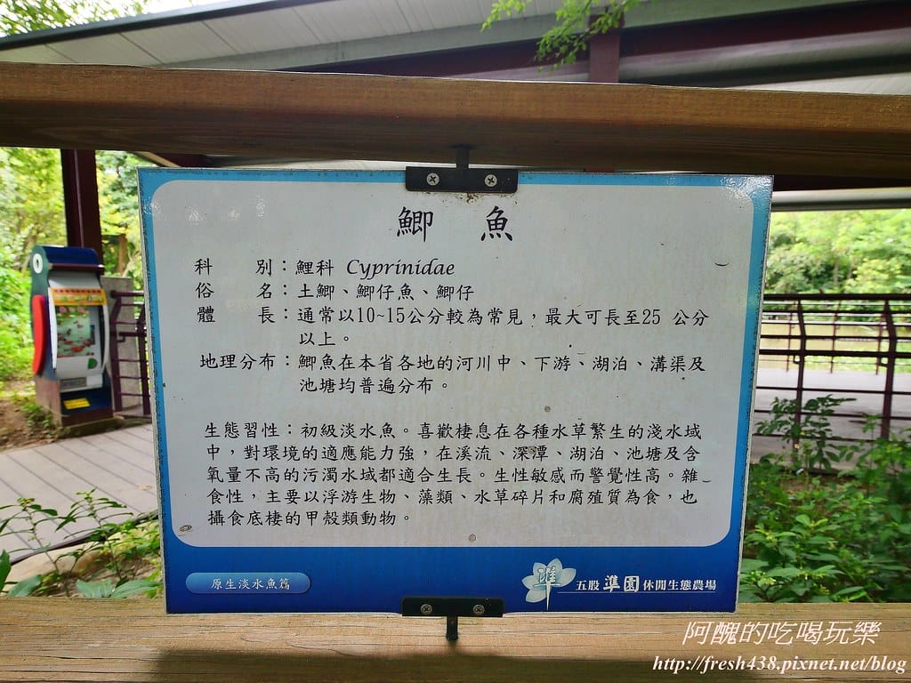 【新北景點】五股準園休閒農場,生態教學一級棒,夏日戲水、手製披薩、體驗釣蝦,四月與九月都有螢火蟲可觀賞! - 第12張圖 81