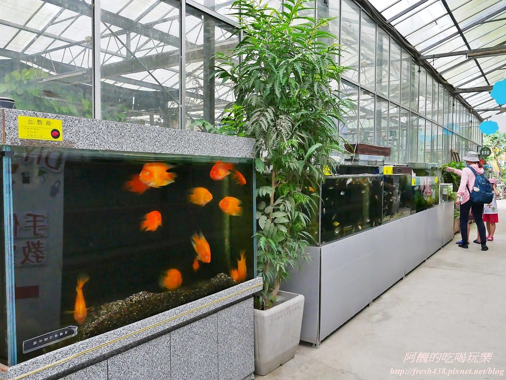 【新北景點】五股準園休閒農場,生態教學一級棒,夏日戲水、手製披薩、體驗釣蝦,四月與九月都有螢火蟲可觀賞! - 第23張圖 11-2