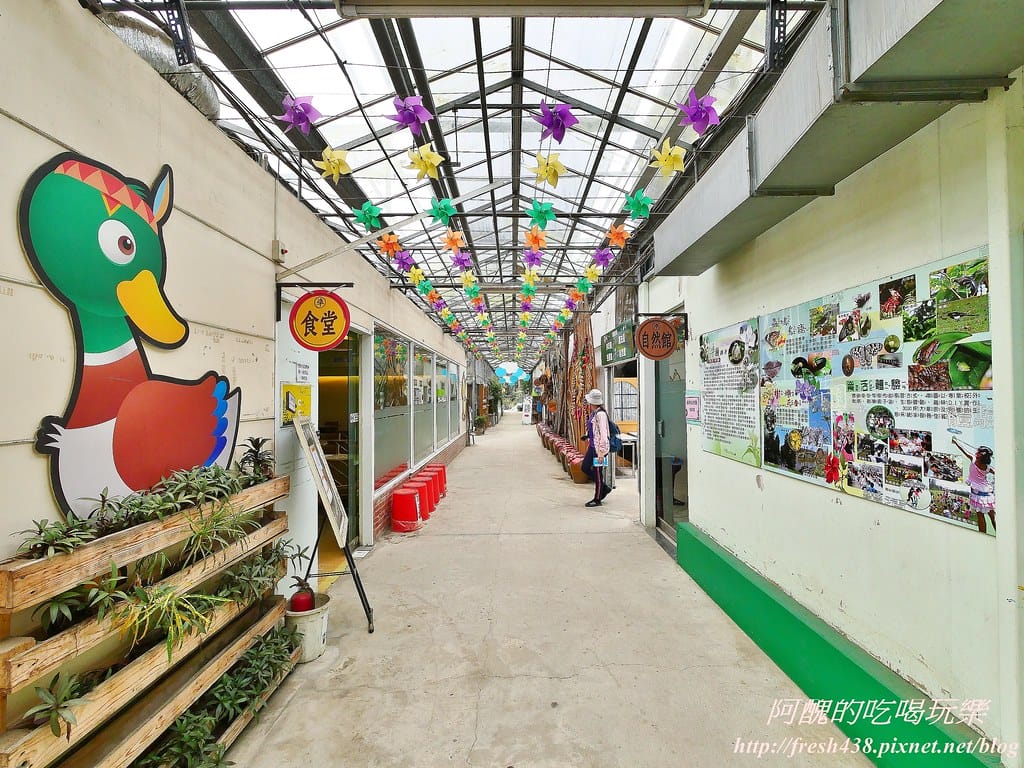 【新北景點】五股準園休閒農場,生態教學一級棒,夏日戲水、手製披薩、體驗釣蝦,四月與九月都有螢火蟲可觀賞! - 第108張圖 34