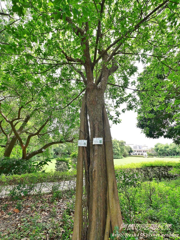 【新北景點】五股準園休閒農場,生態教學一級棒,夏日戲水、手製披薩、體驗釣蝦,四月與九月都有螢火蟲可觀賞! - 第49張圖 80-2