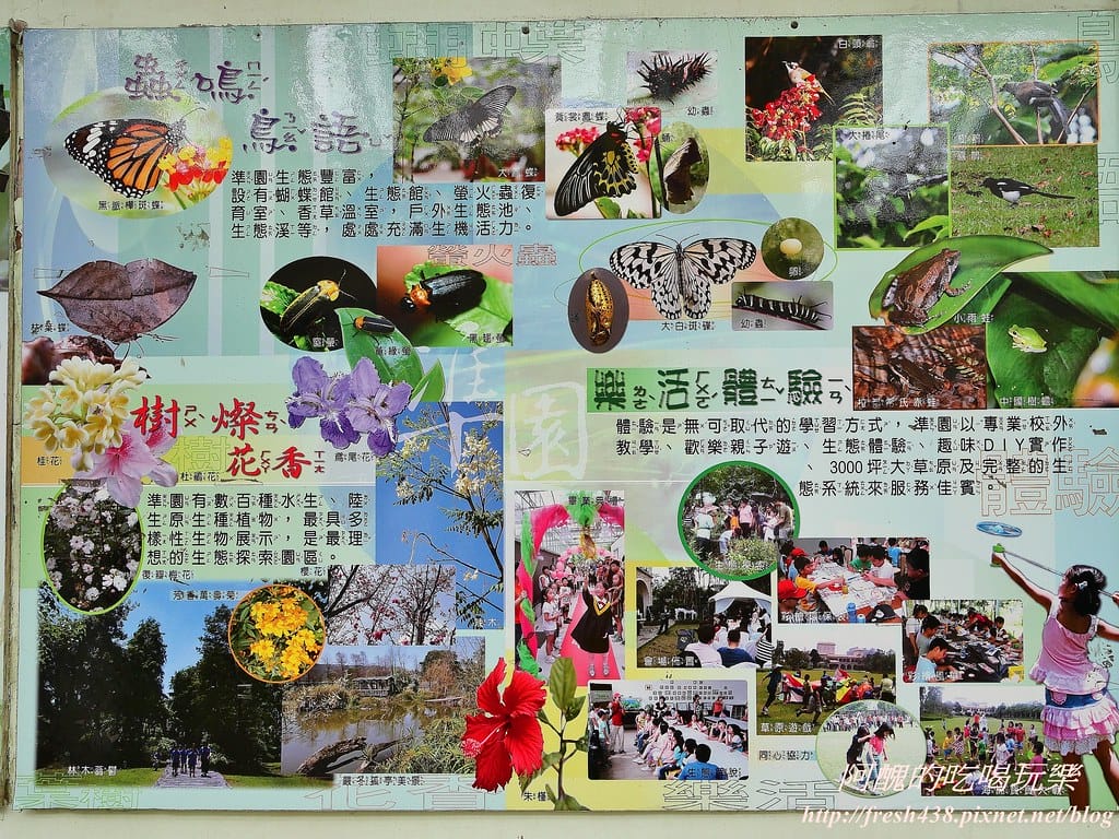 【新北景點】五股準園休閒農場,生態教學一級棒,夏日戲水、手製披薩、體驗釣蝦,四月與九月都有螢火蟲可觀賞! - 第22張圖 11-6