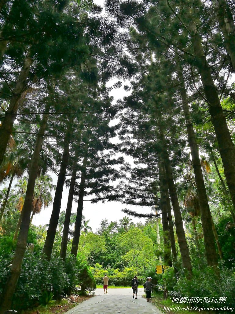 【台北建案】品陽大苑,處優質學區、擁藍天綠地、受藝文薰陶、享購物之便,安全至上、機能優渥的完美捷運宅。 - 第44張圖 39